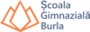 Scoala Gimnazială Burla