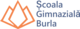 Scoala Gimnazială Burla